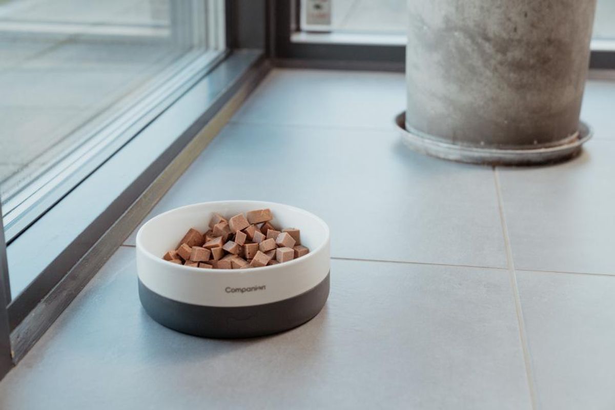 Companion+ FEAST Biff 350g | Saftig Hundefôrpølse