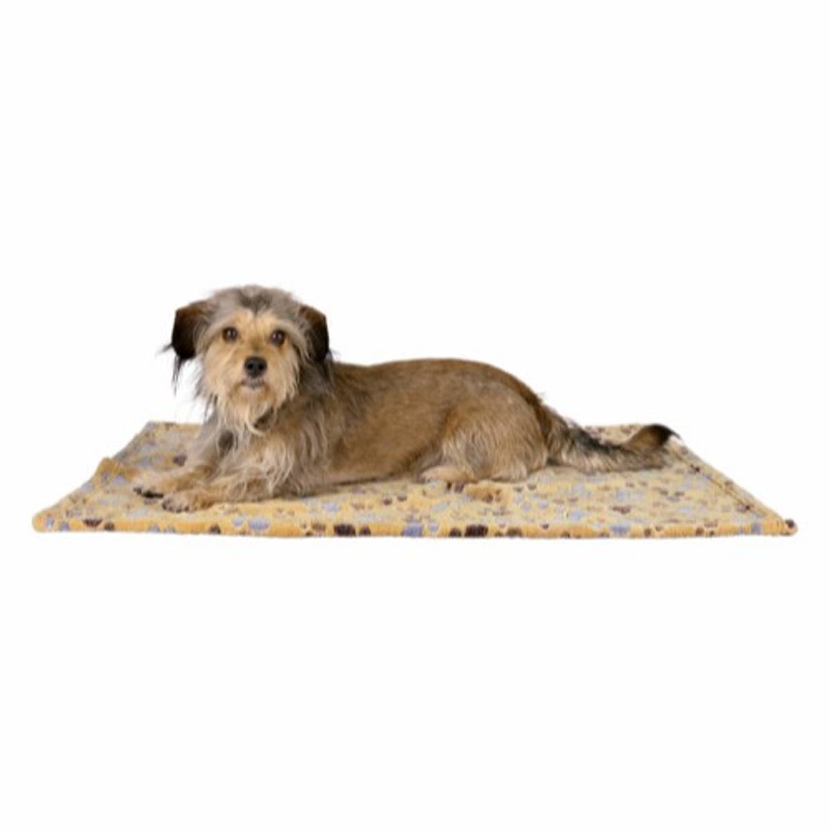 Laslo teppe beige 150x100cm