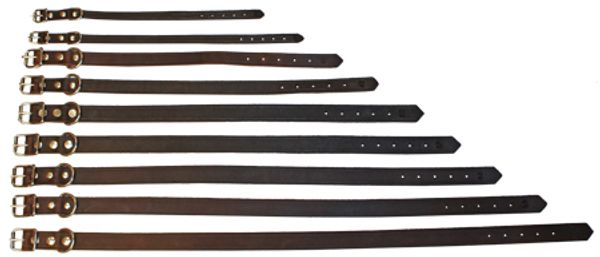 Hovedbilde ALAC HALSBÅND LÆR MØRKBRUN 12 MM x 30 CM