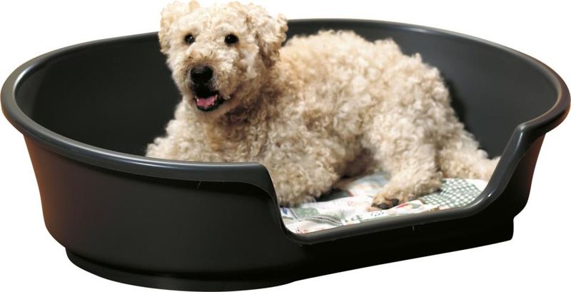 COSY-AIR 65 ANTRASITT 78X41X24