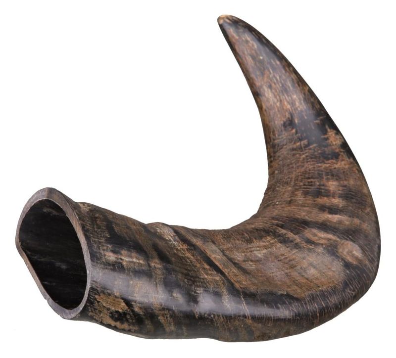 Trixie Buffalo Tyggehorn - Naturlig Tygg til Hund - Medium