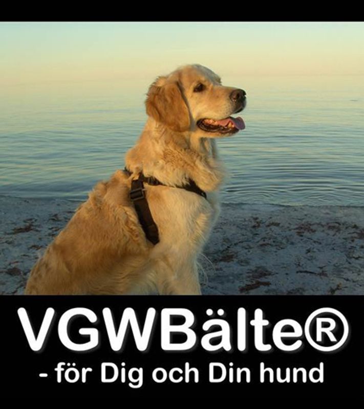VGW Bälte Extension Sele Svart XXS (<37cm) - Ergonomisk Antidragsele