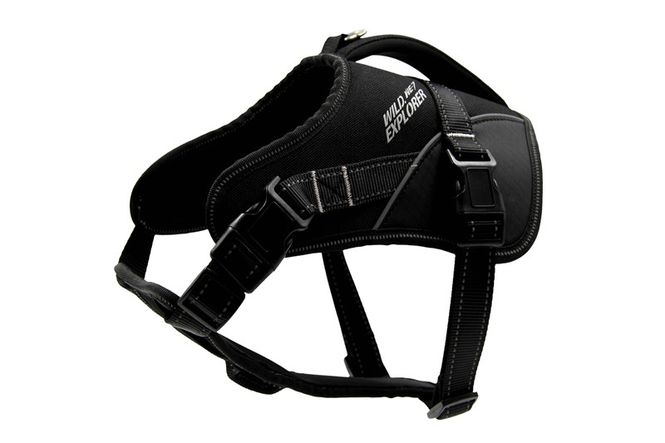 Hovedbilde Zooland Wild Explorer Sele Sort L