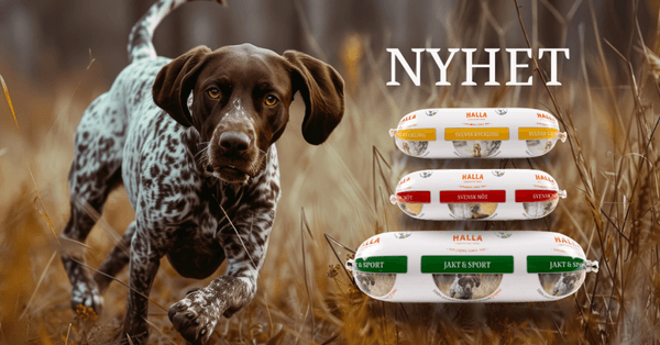 Hovedbilde HALLA Svensk Hundepølse Jakt og Sport - 650 gr
