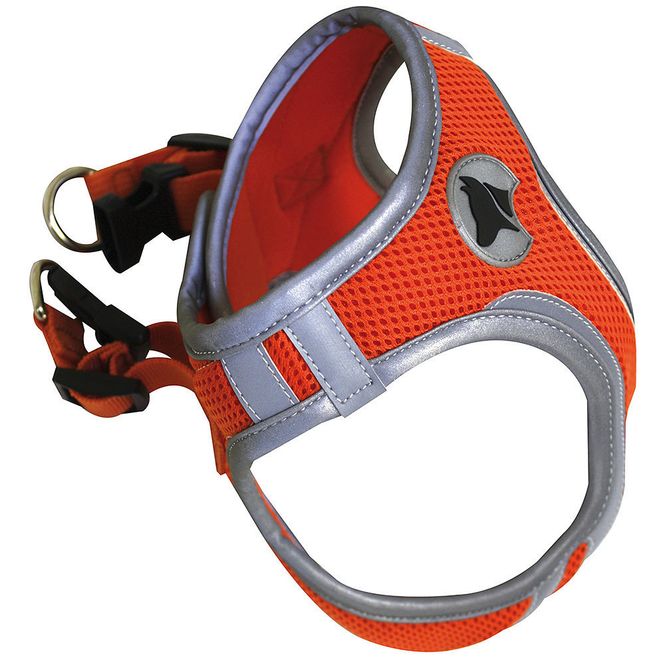 Hovedbilde Hiking Harness Oransje