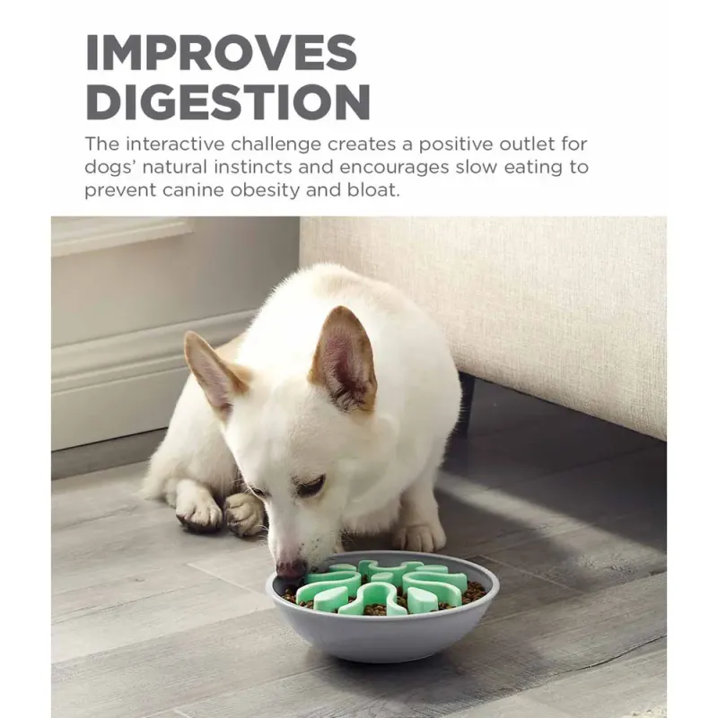 Outward Hound Wobble Slo Bowl Mint 23x8cm | Saktespiser