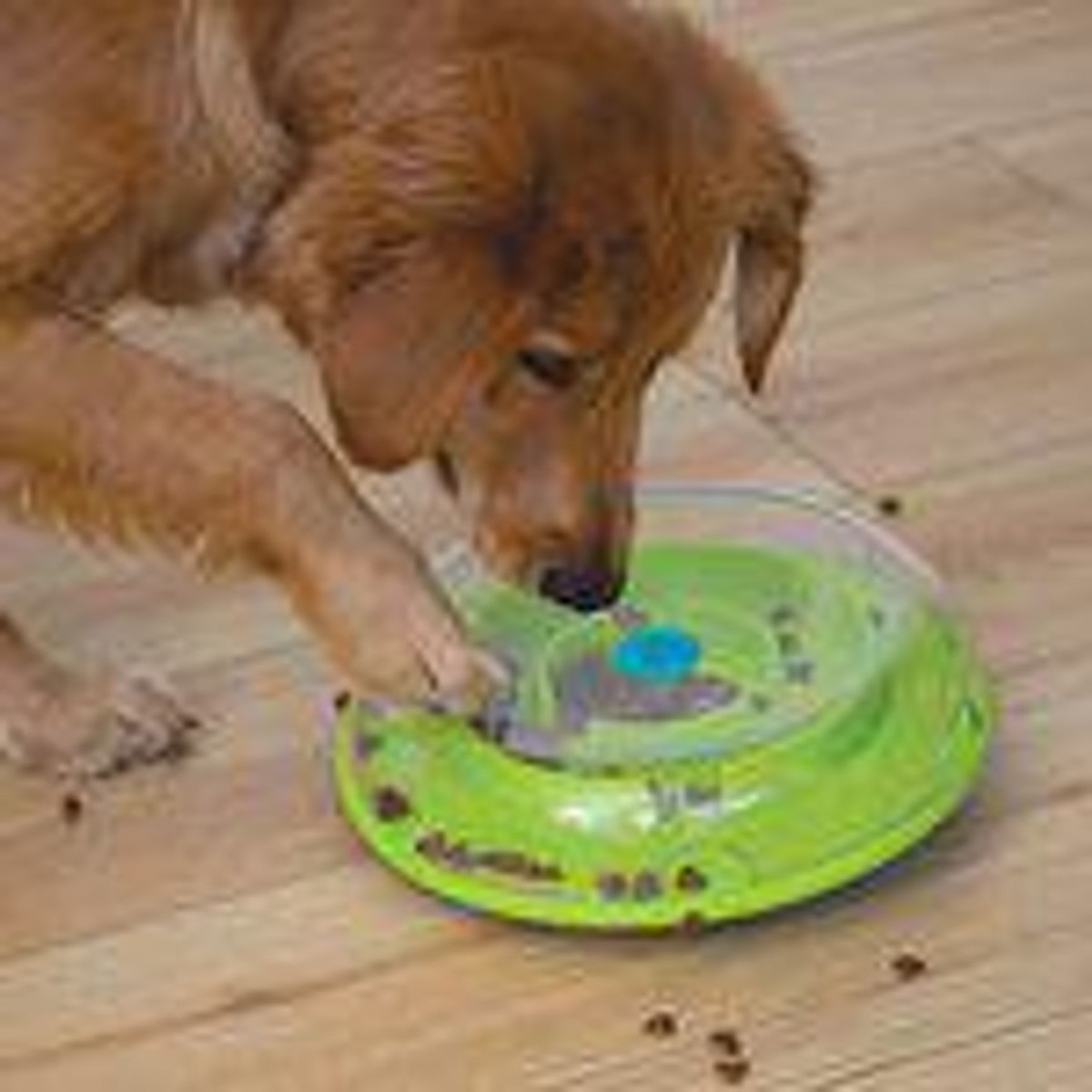 NINA OTTOSSON Dog Wobble Bowl
