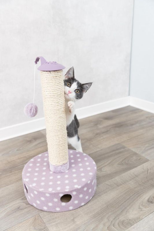 Trixie Junior Klorestolpe Kattunge 47cm | m/ Leker & Plysj