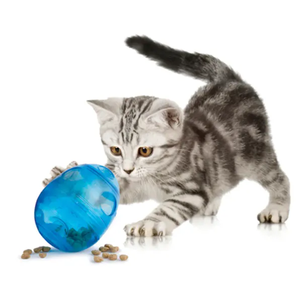 Bilde av FunKitty EggCersizer Godis Leke