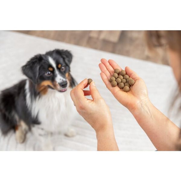 Hovedbilde Trixie BE NORDIC Laksegodbiter 500g | Sunn Omega 3 & 6