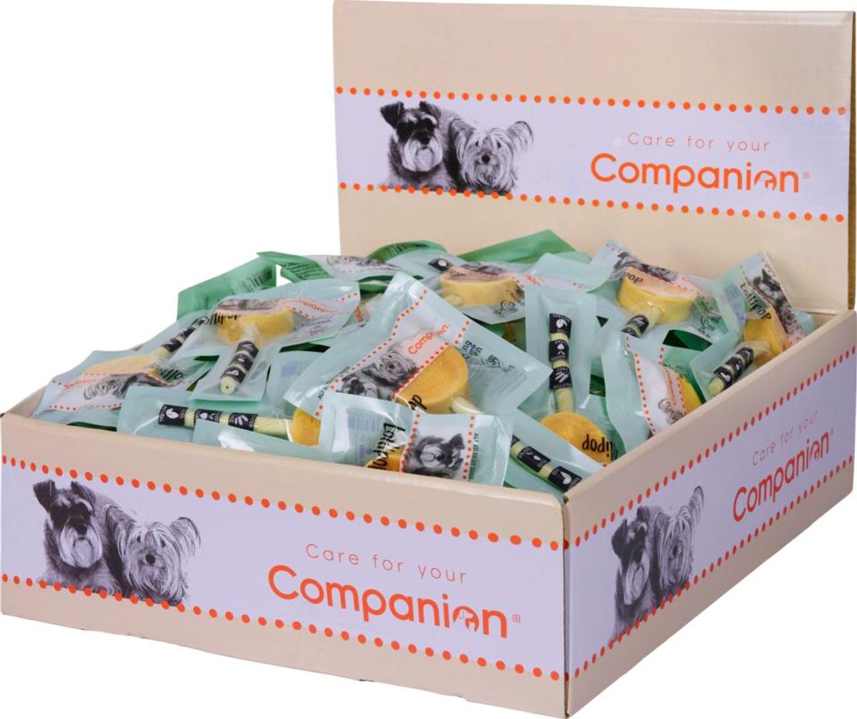 Companion Lollipop Kylling 10g | 100% Naturlig Godbit