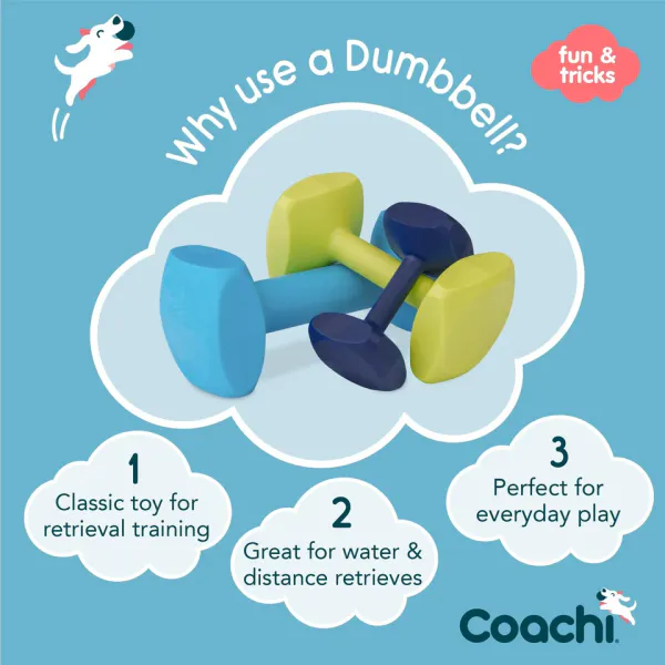 Hovedbilde Coachi Training Dumbbell Str L (386 g) | Flytende Apportbukk