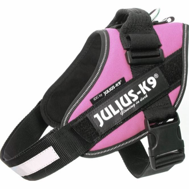 Hovedbilde IDC Sele Rosa