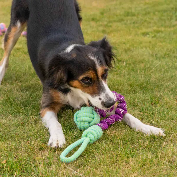 Hovedbilde OZAMI DraLeke m. Håndtak og Ball - 66 cm